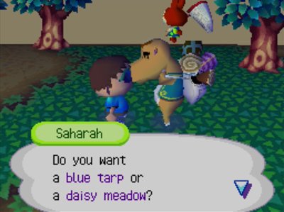 Saharah: Do you want a blue tarp or a daisy meadow?