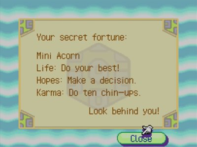 Your secret fortune: Mini Acorn. Life: Do your best! Hopes: Make a decision. Karma: Do ten chin-ups. Look behind you!