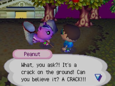 Peanut: What, you ask?! It's a crack on the ground! Can you believe it? A CRACK!!!