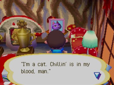 Quote on Bob's pic: I'm a cat. Chillin' is in my blood, man.