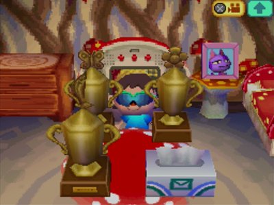 My bug trophy, flower trophy, fish trophy, and box of tissues on a mush table.