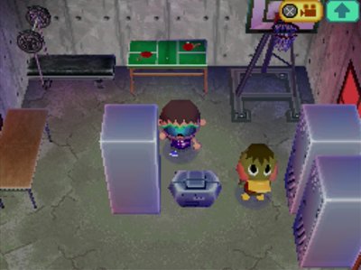 The sporty inside of Deena's house in Animal Crossing: Wild World.
