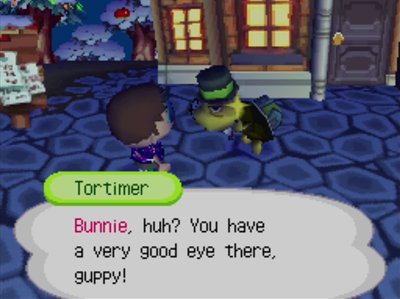 Tortimer: Bunnie, huh? You have a very good eye there, guppy!