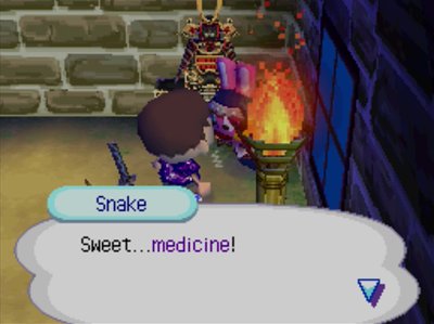 Snake: Sweet...medicine!