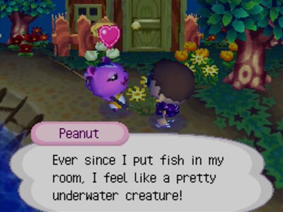 Peanut: Ever since I put fish in my room, I feel like a pretty underwater creature!