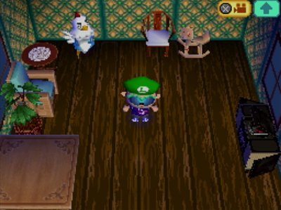 Goose's house in Animal Crossing: Wild World.