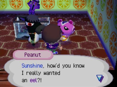 Peanut: Sunshine, how'd you know I really wanted an eel?!
