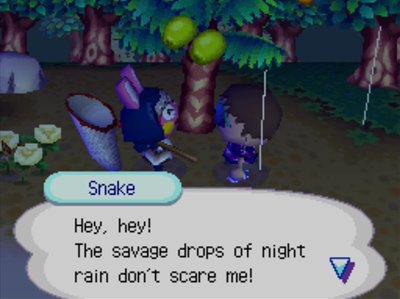 Snake: Hey, hey! The savage drops of night rain don't scare me!