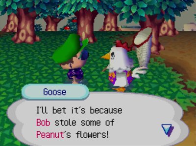 Goose: I'll bet it's because Bob stole some of Peanut's flowers!