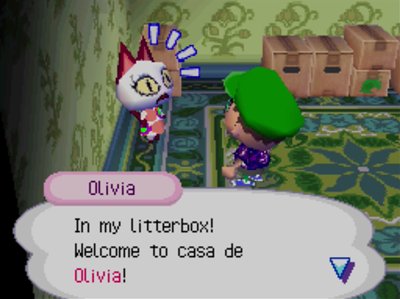 Olivia: In my litterbox! Welcome to casa de Olivia!
