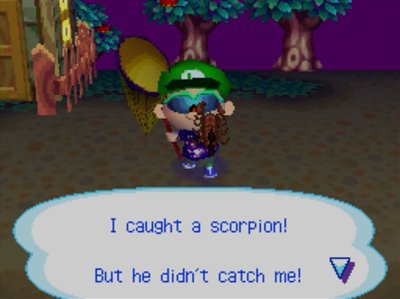 I caught a scorpion! But he didn't catch me!