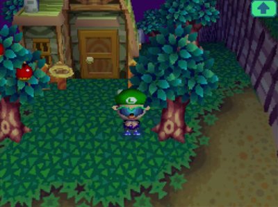 Wishing on a shooting star in Animal Crossing: Wild World.