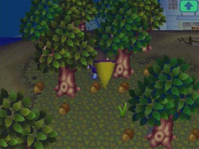 Acorns on the ground under trees in Animal Crossing: Wild World.