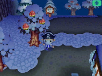 My first peach tree in Animal Crossing: Wild World.