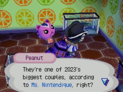 Peanut: They're one of 2023's biggest couples, according to Ms. Nintendique, right?