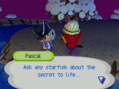 Pascal: Ask any starfish about the secret to life...