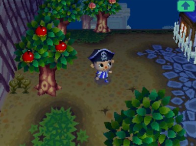 Two dig spots (both of which contained fossils) near my house in Animal Crossing: Wild World.