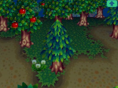 A fossil hides along the edge of the grass and dirt in Animal Crossing: Wild World.