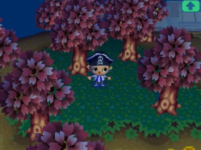 The pink trees of early April in Animal Crossing: Wild World.
