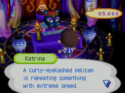 Katrina: A curly-eyelashed pelican is repeating something with extreme speed.