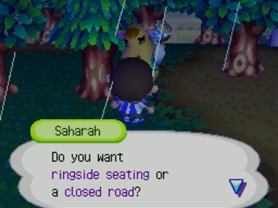 Saharah: Do you want ringside seating or a closed road?