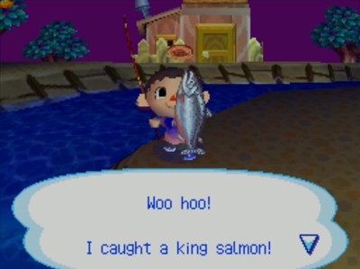 Woo hoo! I caught a king salmon!