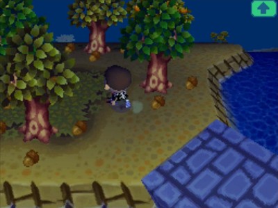 Acorns on the ground during the Acorn Festival in Animal Crossing: Wild World (ACWW).