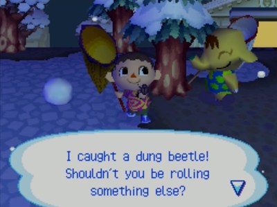 Me, as Eloise looks on: I caught a dung beetle! Shouldn't you be rolling something else?