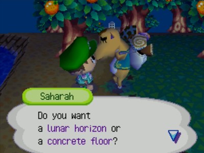 Saharah: Do you want a lunar horizon or a concrete floor?