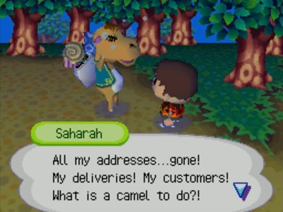 Saharah: All my addresses...gone! My deliveries! My customers! What is a camel to do?!