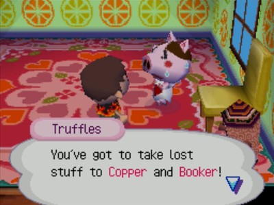 Truffles: You've got to take lost stuff to Copper and Booker!