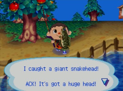 I caught a giant snakehead! ACK! It's got a huge head!