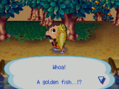 Whoa! A golden fish...!?
