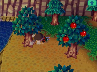 Falling on my face, nearly slamming my head into a tree, in Animal Crossing: Wild World (ACWW).