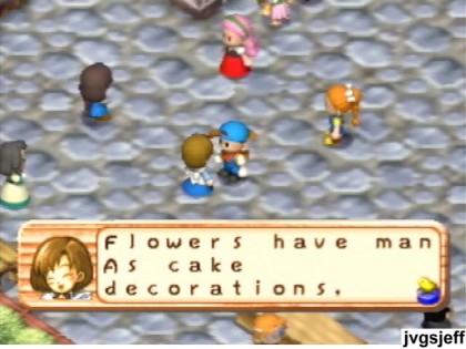 Elli, in Harvest Moon 64: Flowers have man as cake decorations.