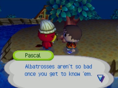 Pascal: Albatrosses aren't so bad once you get to know 'em.