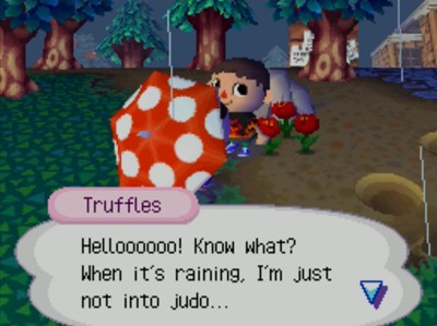 Truffles: Helloooooo! Know what? When it's raining, I'm just not into judo...
