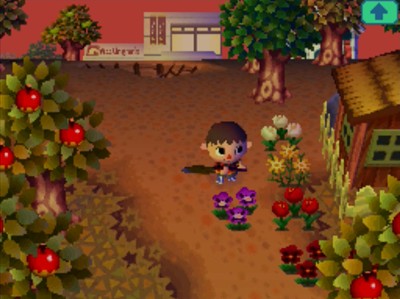 A new purple pansy outside of Truffles's house.