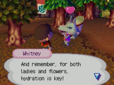 Whitney: And remember, for both ladies and flowers, hydration is key!