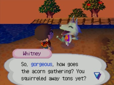 Whitney: So, gorgeous, how goes the acorn gathering? You squirreled away tons yet?