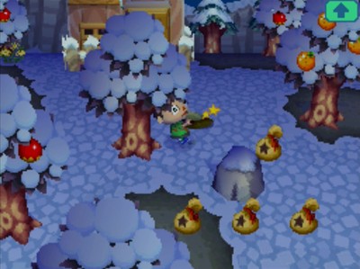 Playing Animal Crossing: Wild World in the snow, including me hitting a money rock.
