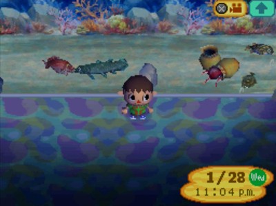 A red snapper and a coelacanth appear to kiss in the aquarium at the Animal Crossing: Wild World museum.
