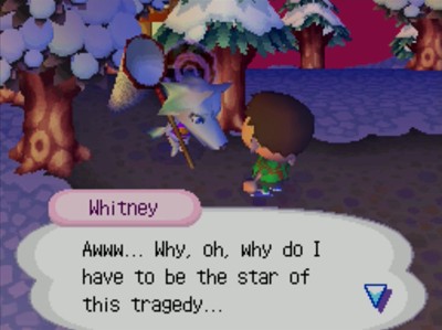 Whitney: Awww... Why, oh, why do I have to be the star of this tragedy...