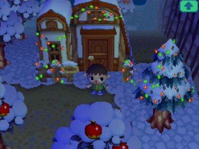 Filbert's house decorated for Bright Nights.