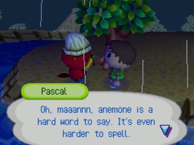Pascal: Oh, maaannn, anemone is a hard word to say. It's even harder to spell.