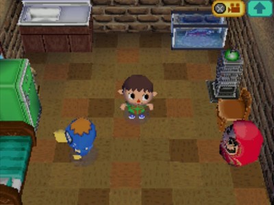 The inside of Derwin's house in Animal Crossing: Wild World.