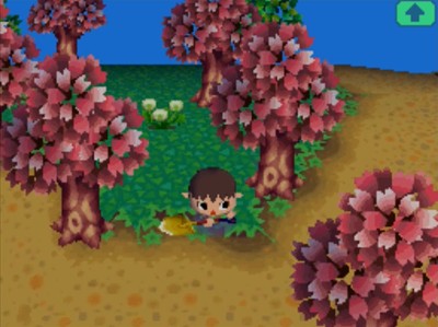 Pink trees in Animal Crossing: Wild World.