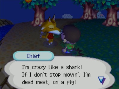 Chief: I'm crazy like a shark! If I don't stop movin', I'm dead meat, on a pig!