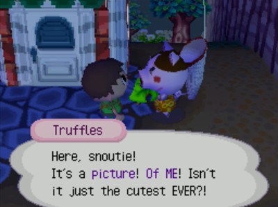Truffles: Here, snoutie! It's a picture! Of ME! Isn't it just the cutest EVER?!
