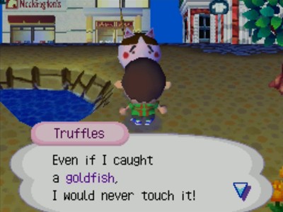Truffles: Even if I caught a goldfish, I would never touch it!
